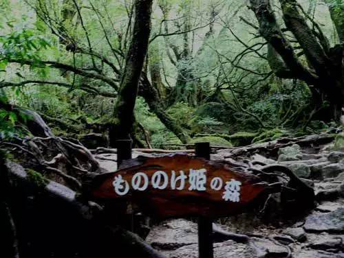 宫崎骏爷爷的作品有哪些美丽的取景地？