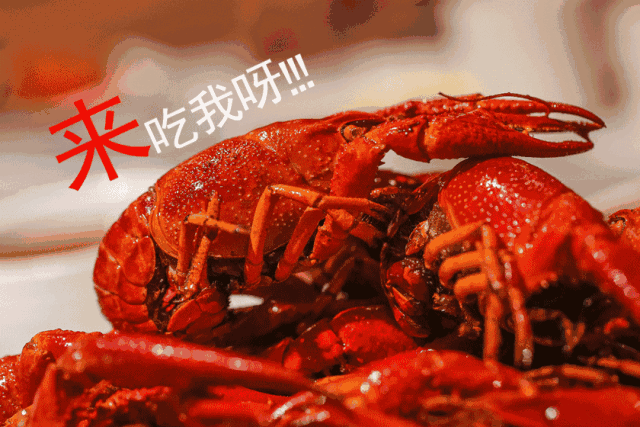 狂咽口水！小龙虾和湘菜的“香辣艳遇”，最近在通州火了…