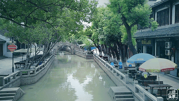 上海竟然还有这么美丽的古镇？真是低调的让人心疼！