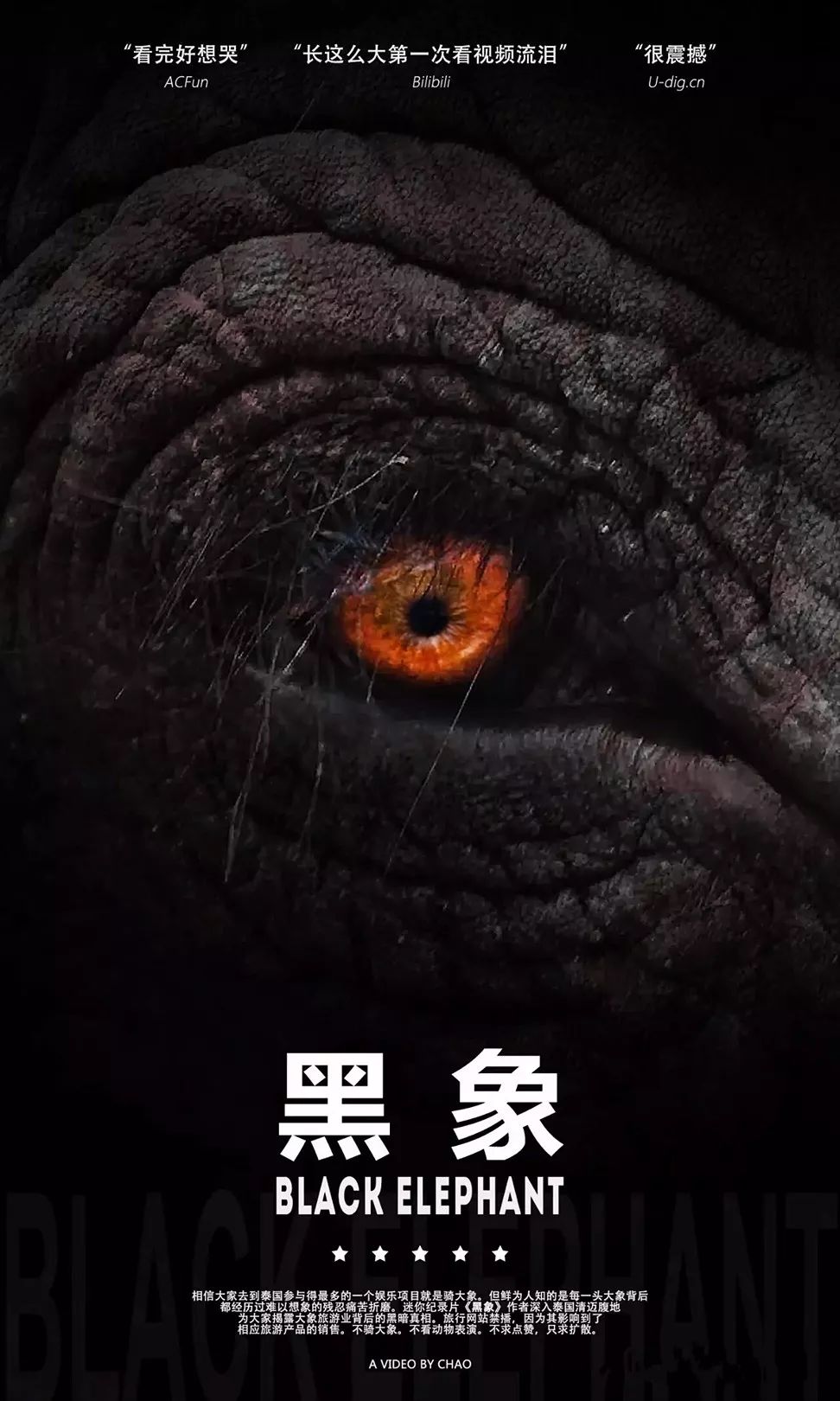 《黑象2》揭世界网红景点惊天骗局，一面美妙到让人瞋目结舌，一面肮脏到让人痛心愤恨