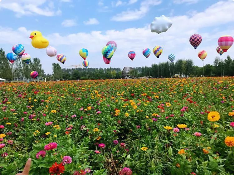 在北京就能坐热气球、住树屋？再也不发愁周末没地方玩了！