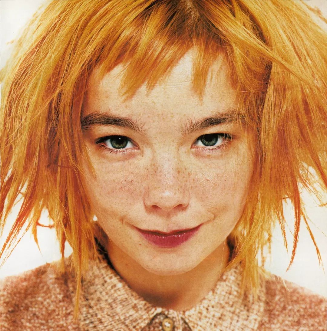 关于《Debut》—— 我们与 Björk 的1993年专访