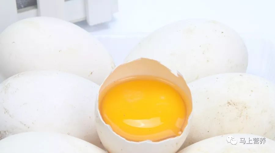 孕妇吃鹅蛋能预防新生儿黄疸？