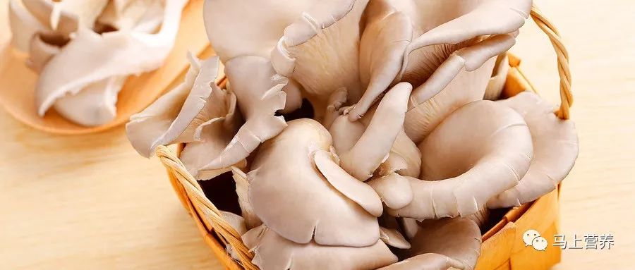 蘑菇富集重金属，不能吃？