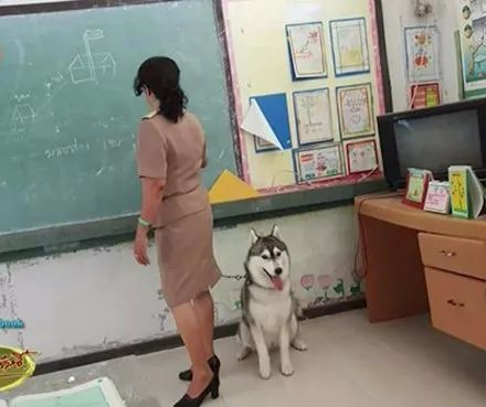 女老师带狗子到教室上课，网友：这学校要拆迁了？