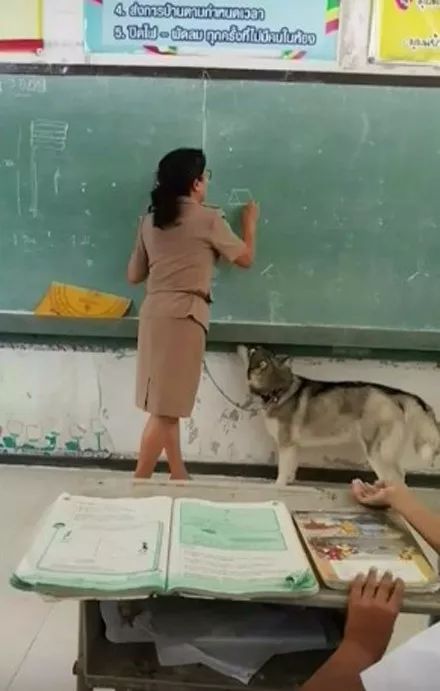 女老师带狗子到教室上课，网友：这学校要拆迁了？
