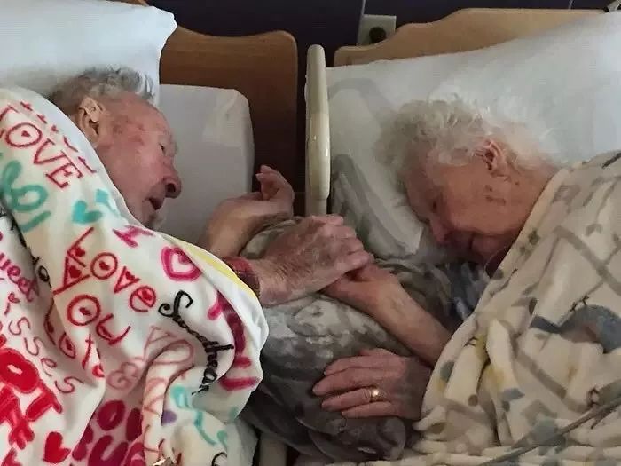 80岁老奶奶手机屏保看哭无数人：在出轨横行的年代，怀念老一辈的爱情！