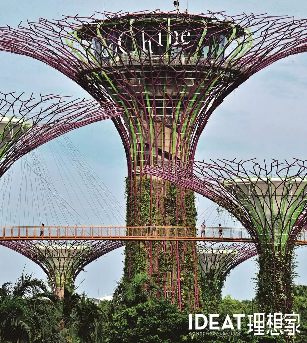 新加坡 | 绿色城市第一名，我们是认真的。