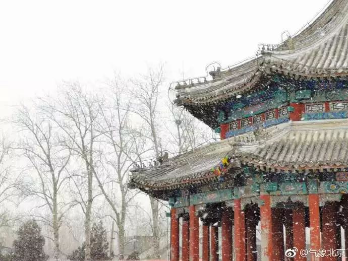 雪后的北京美成一幅画…没赶上的别急，本周还有一场更大的