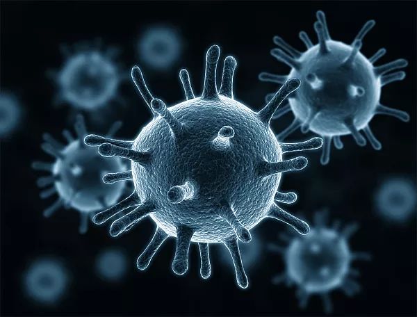 诺贝尔医学奖花落免疫学家，肿瘤免疫治疗和提高人体免疫力有没有关系？