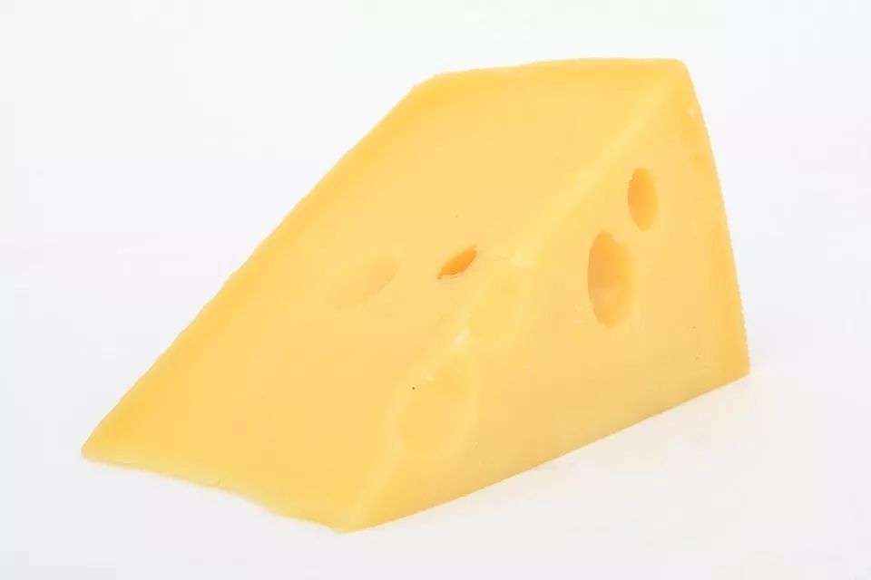 谁懂了我的奶酪？！