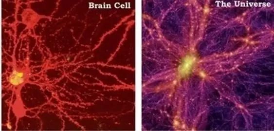 宇宙竟然是个超级大脑