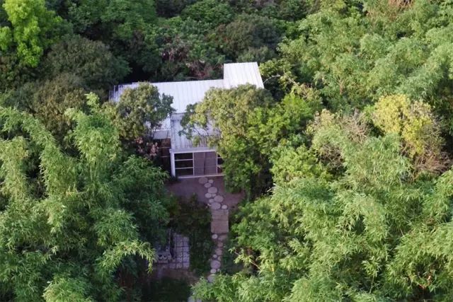 90后植物艺术家，2个月打造300㎡田园住宅，在乡下过着神仙眷侣般的生活