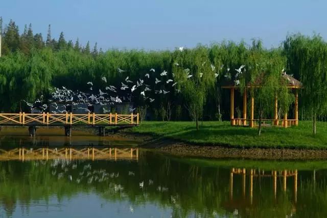 好消息！上海又增6个国家级旅游景区，门票几乎全免费！