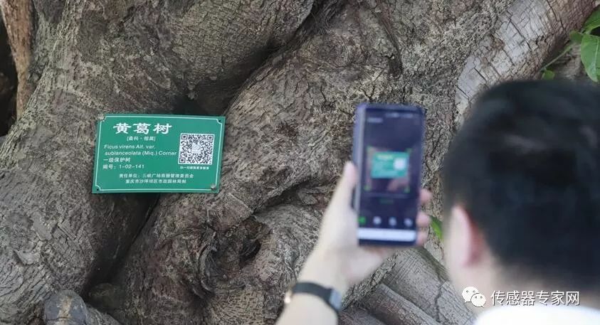 传感器在国内城市古树防盗及倾斜保护监测中的应用
