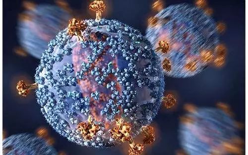 美国新型艾滋病疫苗证实有效，猴子注射后成功免疫