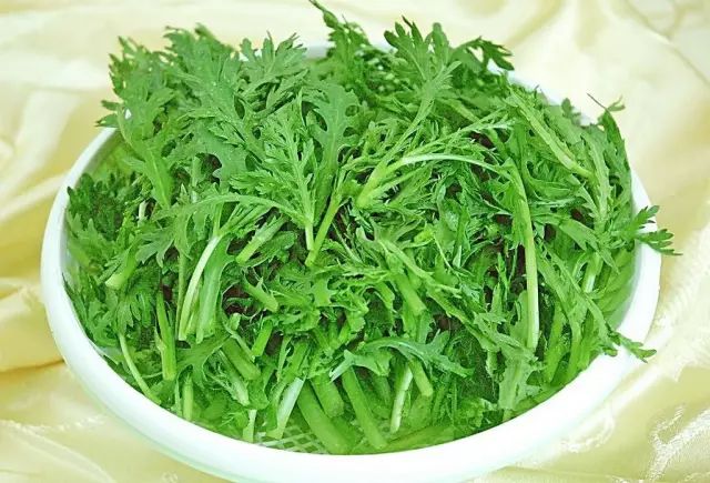 【王兴国】推荐营养最佳的十种绿叶蔬菜