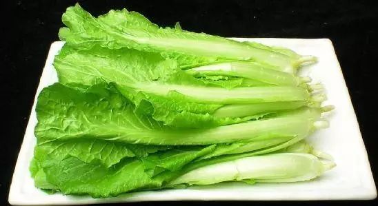 【王兴国】推荐营养最佳的十种绿叶蔬菜