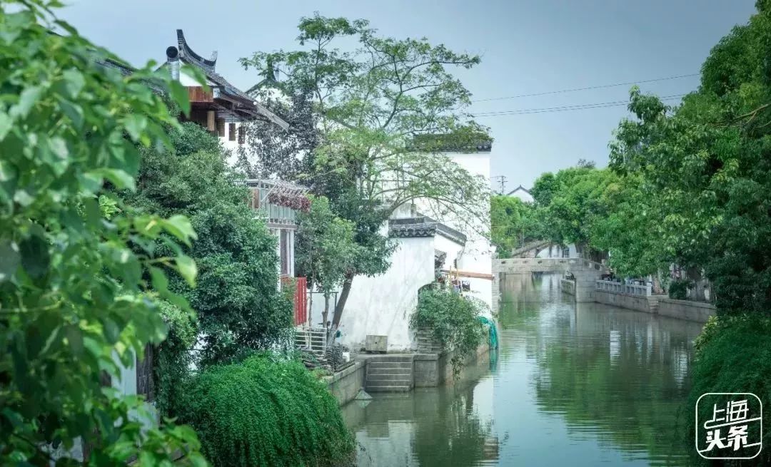 上海竟然还有这么美丽的古镇？真是低调的让人心疼！