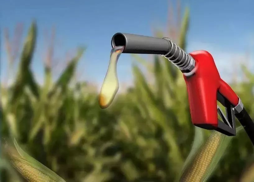 “玉米调和油”取代92号汽油？都有哪些优缺点？