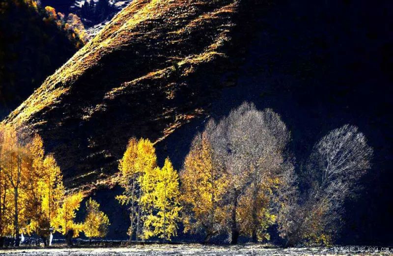 一大波图片，带你走进川藏线最美的季节 !