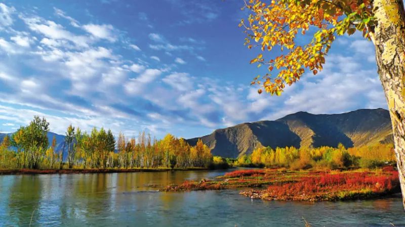 秋天，川藏线最美的季节来了
