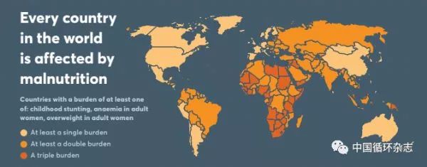 2018全球营养报告：全球1/5死亡与吃有关，中国面临营养不足和肥胖双重负担
