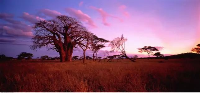 世界上最不发达国家——坦桑尼亚，为什么还有人去旅行？