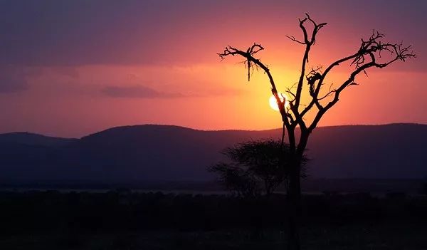 世界上最不发达国家——坦桑尼亚，为什么还有人去旅行？