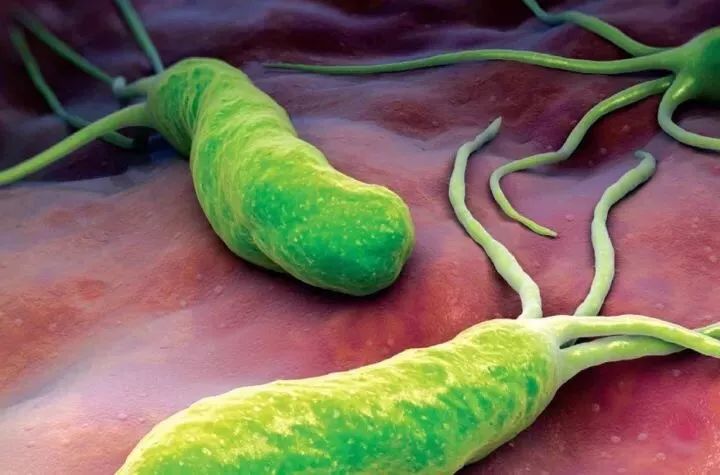 和患有幽门螺杆菌的人一起吃饭，会不会被传染？