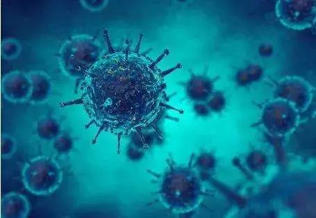 优化疫苗和药物，“跑赢”流感病毒演变 | “2018世界流感大会”召开