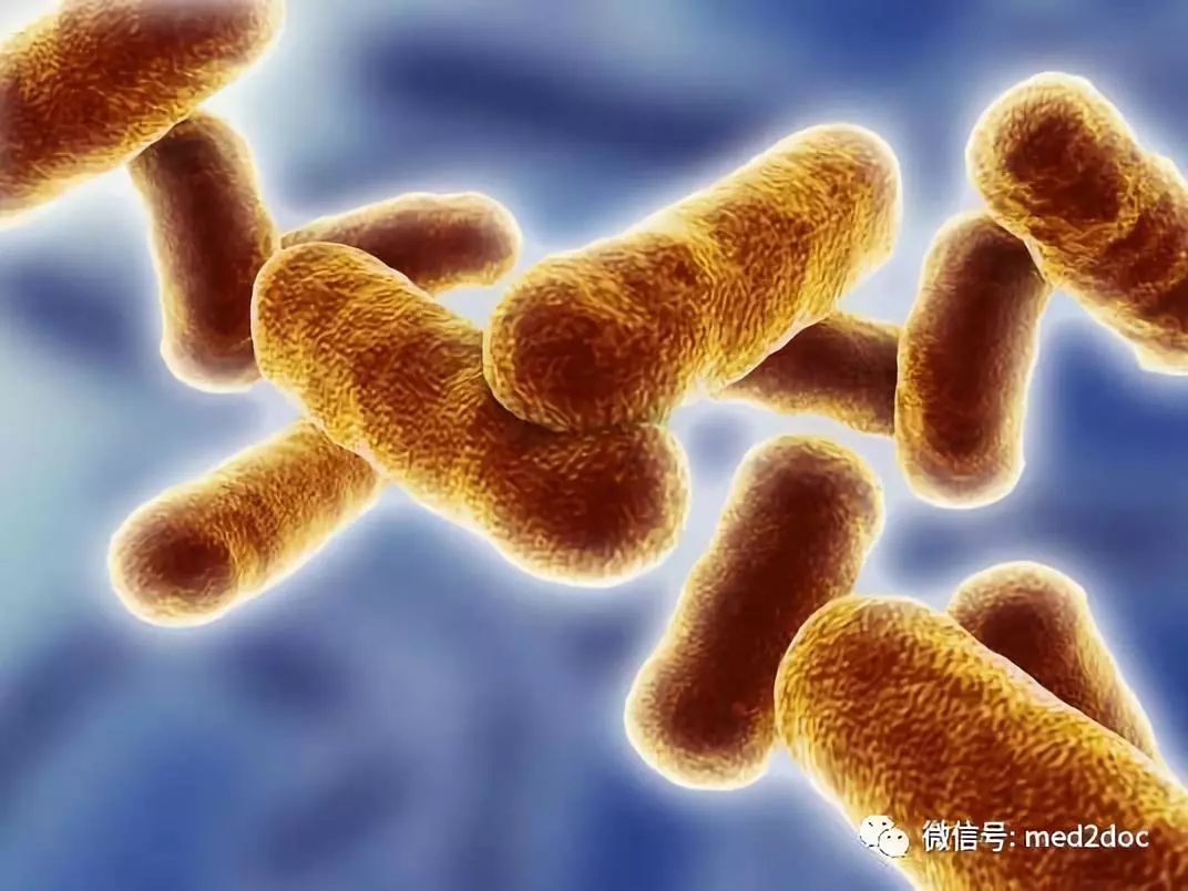 黑龙江发生炭疽疫情 14人感染！人是怎么感染上炭疽的？