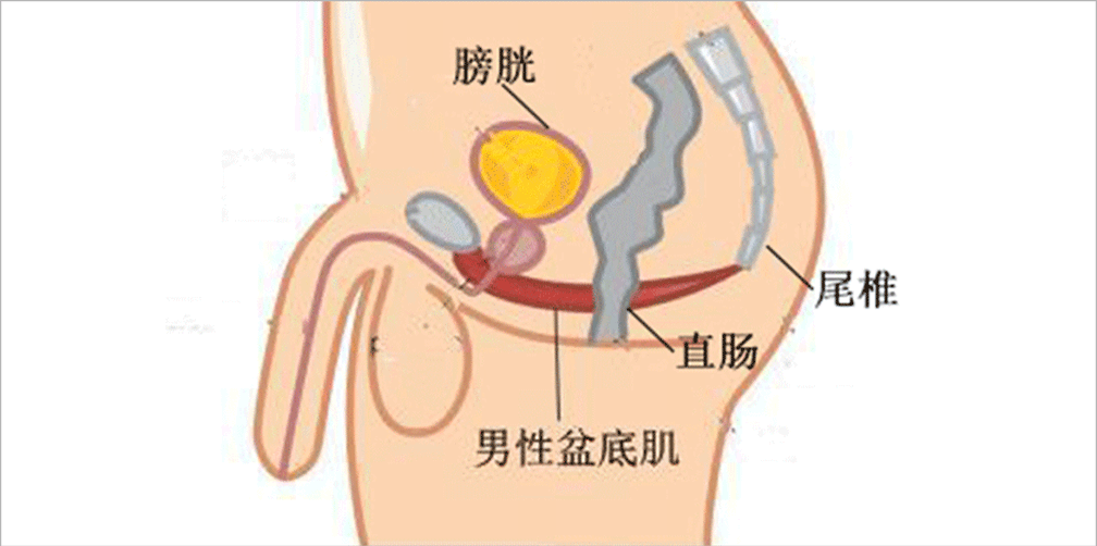 这个“一紧一松”小动作，男人做提高性能力，女人做防..松弛!夫妻同做，性生活更和谐