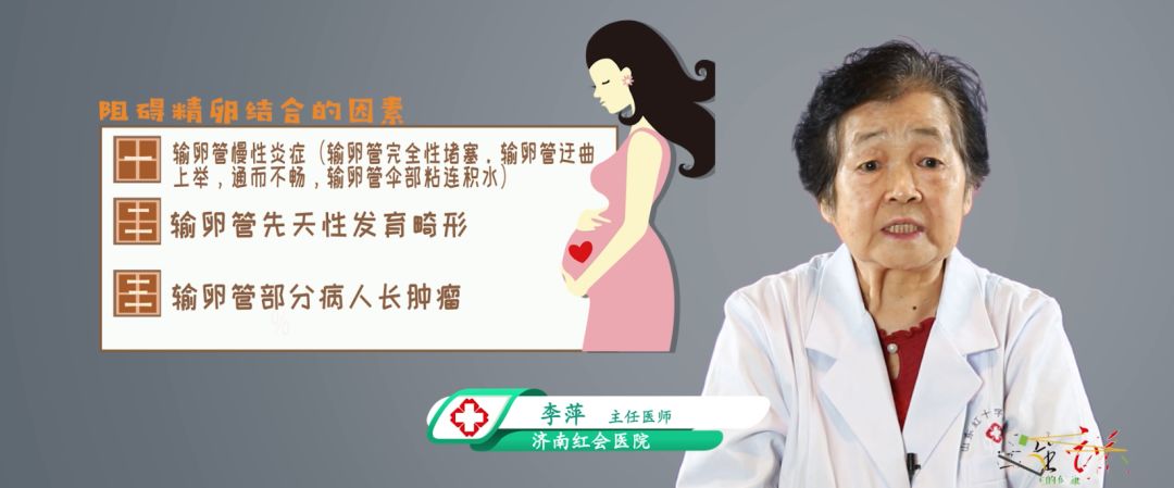 李萍主任说备孕：为什么会出现不孕不育的情况？