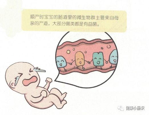 宝宝建立健康肠道菌群的四次机会，你知道吗？