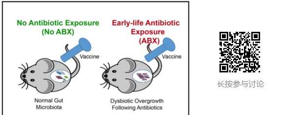 抗生素伤害婴儿菌群，可能影响疫苗效力