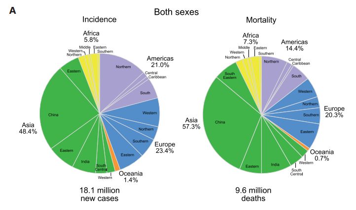 全球最新癌症数据：肺癌仍是“最强杀手”，远离癌症你需要做到这些